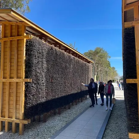 Visit Baltic - Bursztyn Rb21