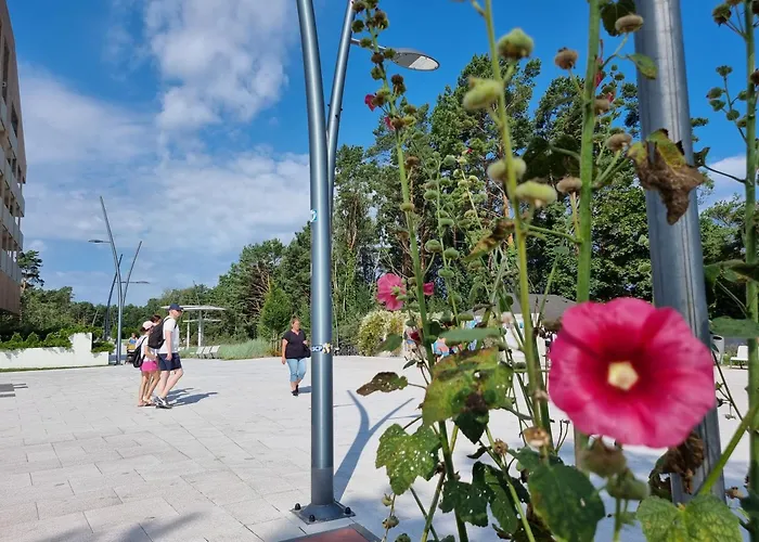 Lägenhet Visit Baltic - Bursztyn Rb21 *